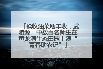 抢收油菜助丰收，武陵源一中数百名师生在黄龙洞生态田园上演“青春助农记”