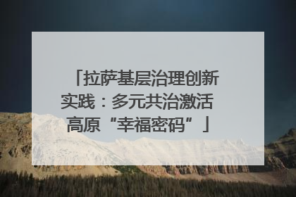 拉萨基层治理创新实践：多元共治激活高原“幸福密码”