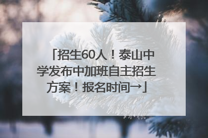 招生60人！泰山中学发布中加班自主招生方案！报名时间→