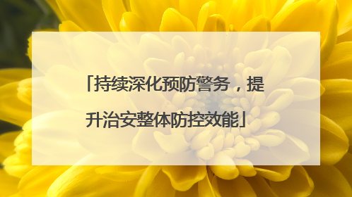 持续深化预防警务，提升治安整体防控效能