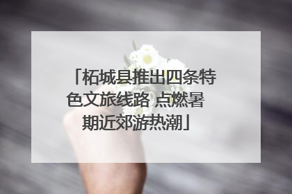 柘城县推出四条特色文旅线路 点燃暑期近郊游热潮