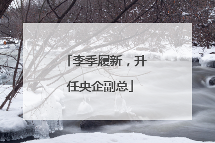 李季履新，升任央企副总