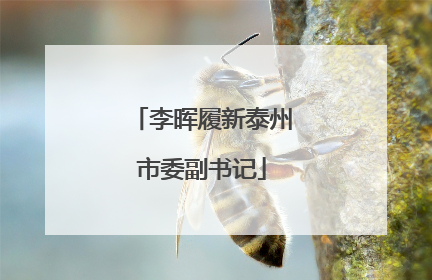 李晖履新泰州市委副书记