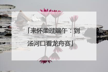 来怀柔过端午：到汤河口看龙舟赛