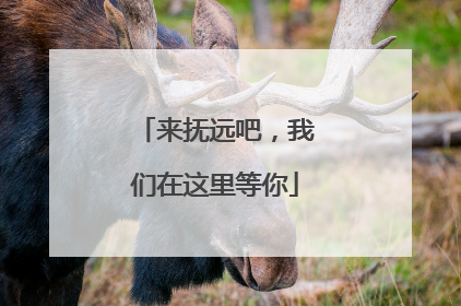 来抚远吧，我们在这里等你