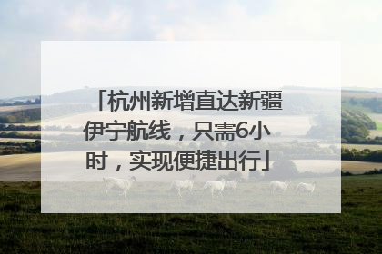 杭州新增直达新疆伊宁航线，只需6小时，实现便捷出行