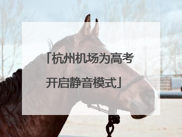 杭州机场为高考开启静音模式