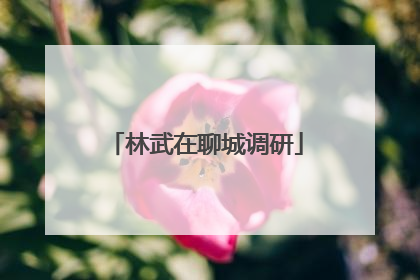 林武在聊城调研