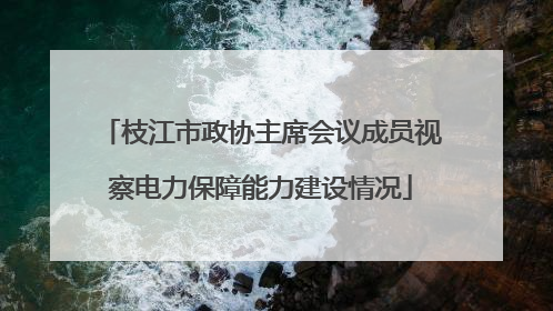 枝江市政协主席会议成员视察电力保障能力建设情况