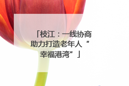 枝江：一线协商助力打造老年人“幸福港湾”