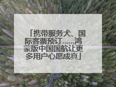 携带服务犬、国际客票预订……鸿蒙版中国国航让更多用户心愿成真