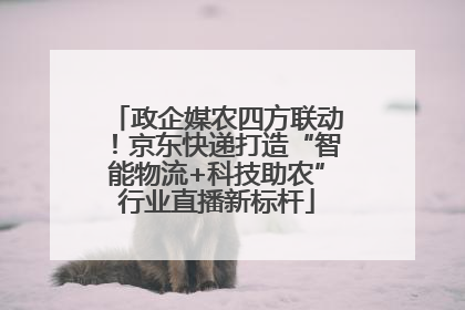政企媒农四方联动！京东快递打造“智能物流+科技助农”行业直播新标杆