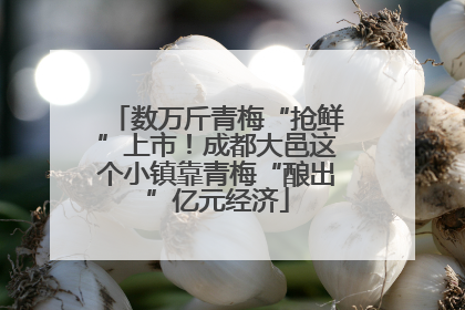 数万斤青梅“抢鲜”上市！成都大邑这个小镇靠青梅“酿出”亿元经济