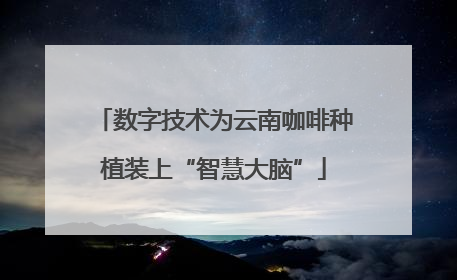 数字技术为云南咖啡种植装上“智慧大脑”
