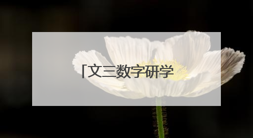 文三数字研学城市营地亮相，十款课程开启杭城教育新体验