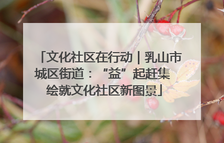文化社区在行动｜乳山市城区街道：“益”起赶集 绘就文化社区新图景