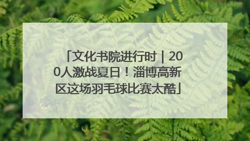 文化书院进行时｜200人激战夏日！淄博高新区这场羽毛球比赛太酷