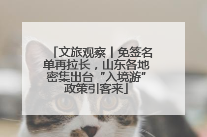文旅观察丨免签名单再拉长，山东各地密集出台“入境游”政策引客来