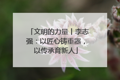 文明的力量丨李志强：以匠心铸重器，以传承育新人