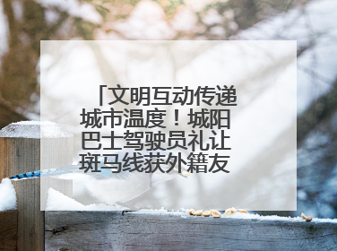 文明互动传递城市温度！城阳巴士驾驶员礼让斑马线获外籍友人鞠躬致谢