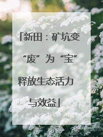 新田：矿坑变“废”为“宝” 释放生态活力与效益