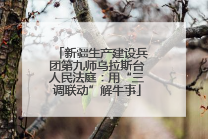 新疆生产建设兵团第九师乌拉斯台人民法庭：用“三调联动”解牛事
