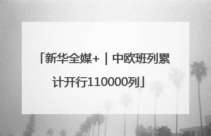 新华全媒+｜中欧班列累计开行110000列