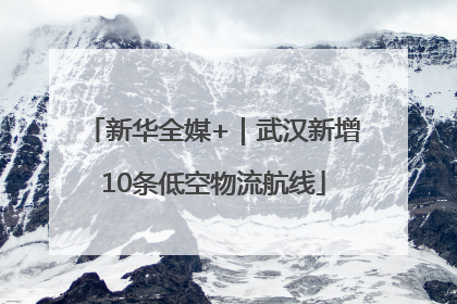新华全媒+｜武汉新增10条低空物流航线