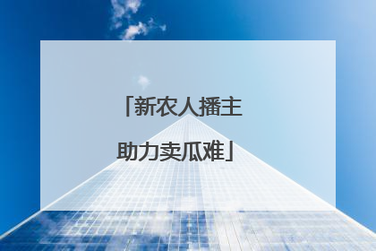 新农人播主 助力卖瓜难