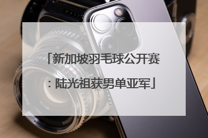 新加坡羽毛球公开赛：陆光祖获男单亚军