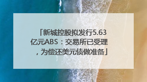 新城控股拟发行5.63亿元ABS：交易所已受理，为偿还美元债做准备