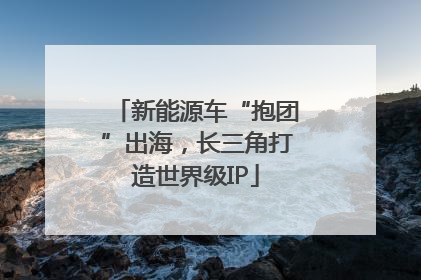 新能源车“抱团”出海，长三角打造世界级IP