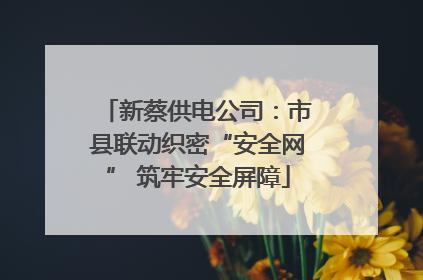 新蔡供电公司：市县联动织密“安全网” 筑牢安全屏障