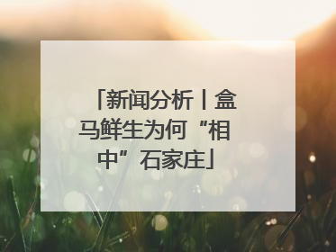 新闻分析丨盒马鲜生为何“相中”石家庄
