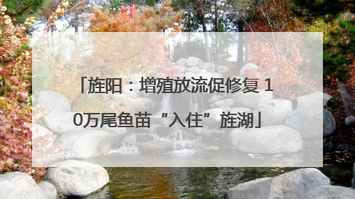 旌阳：增殖放流促修复 10万尾鱼苗“入住”旌湖