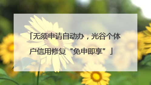 无须申请自动办，光谷个体户信用修复“免申即享”