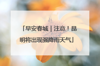 早安春城｜注意！昆明将出现强降雨天气