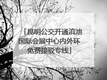 昆明公交开通滇池国际会展中心内外环免费接驳专线
