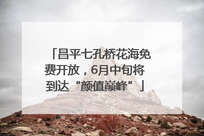 昌平七孔桥花海免费开放，6月中旬将到达“颜值巅峰”