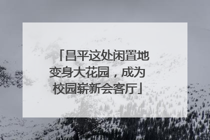 昌平这处闲置地变身大花园，成为校园崭新会客厅