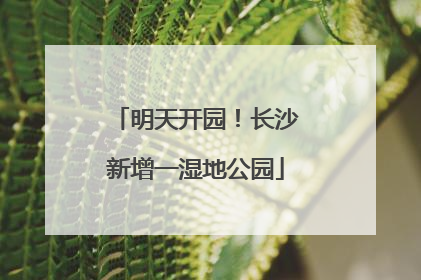 明天开园！长沙新增一湿地公园
