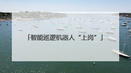 智能巡逻机器人“上岗”