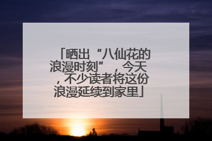 晒出“八仙花的浪漫时刻”，今天，不少读者将这份浪漫延续到家里