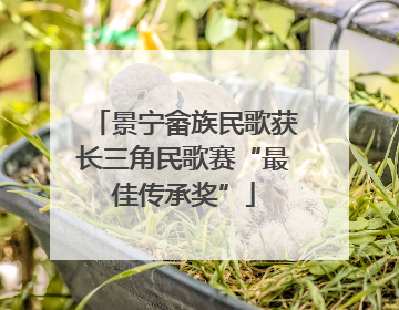 景宁畲族民歌获长三角民歌赛“最佳传承奖”