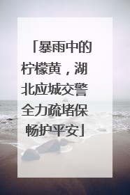 暴雨中的柠檬黄，湖北应城交警全力疏堵保畅护平安
