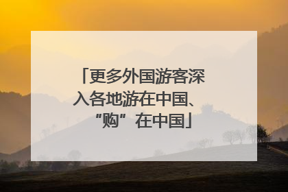 更多外国游客深入各地游在中国、“购”在中国