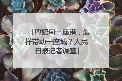 曹妃甸一座港，怎样带动一座城？人民日报记者调查
