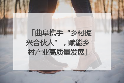 曲阜携手“乡村振兴合伙人”，赋能乡村产业高质量发展