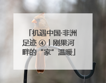 机遇中国·非洲足迹 ④丨刚果河畔的“家”温暖