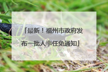 最新！福州市政府发布一批人事任免通知